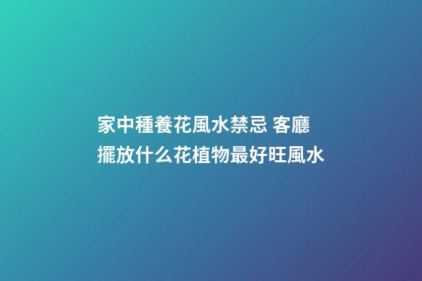 家中種養花風水禁忌 客廳擺放什么花植物最好旺風水